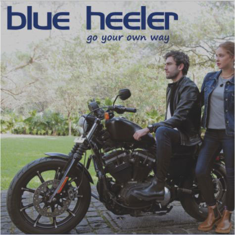 Blue Heeler
